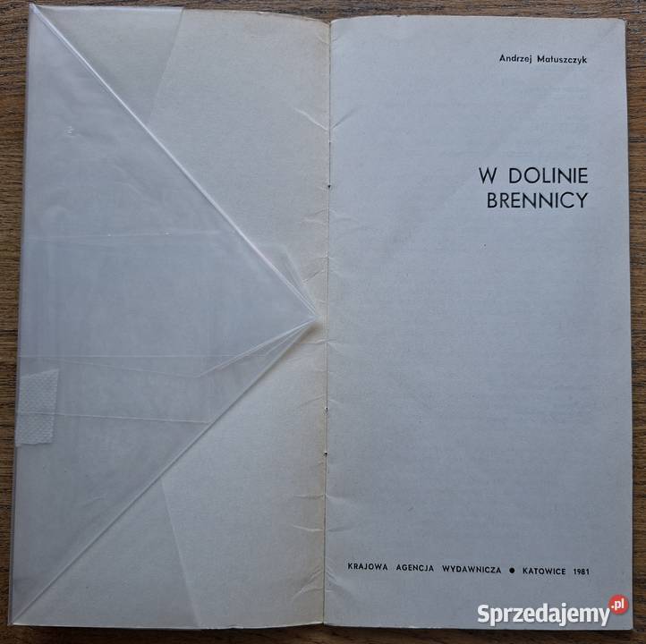 W Dolinie Brennice Andrzej Matuszczyk Kraków sprzedam