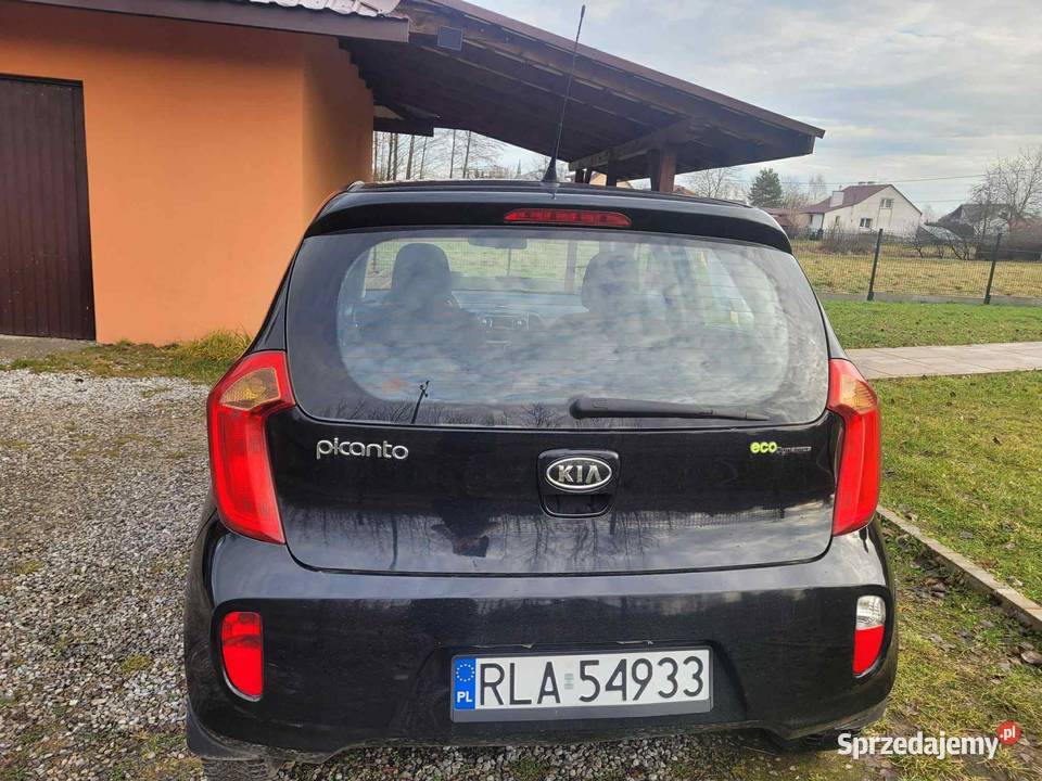Kia Picanto 12 Benzyna 84 Bogata wersja Łańcut