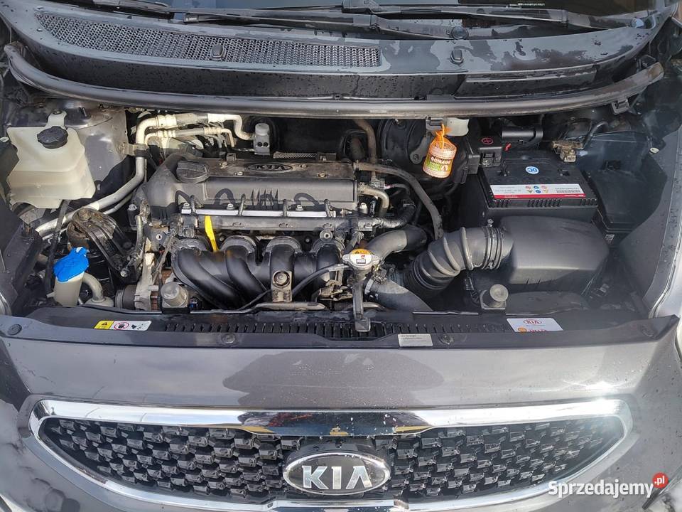 KIA VENGA 4/5 Jelenia Góra