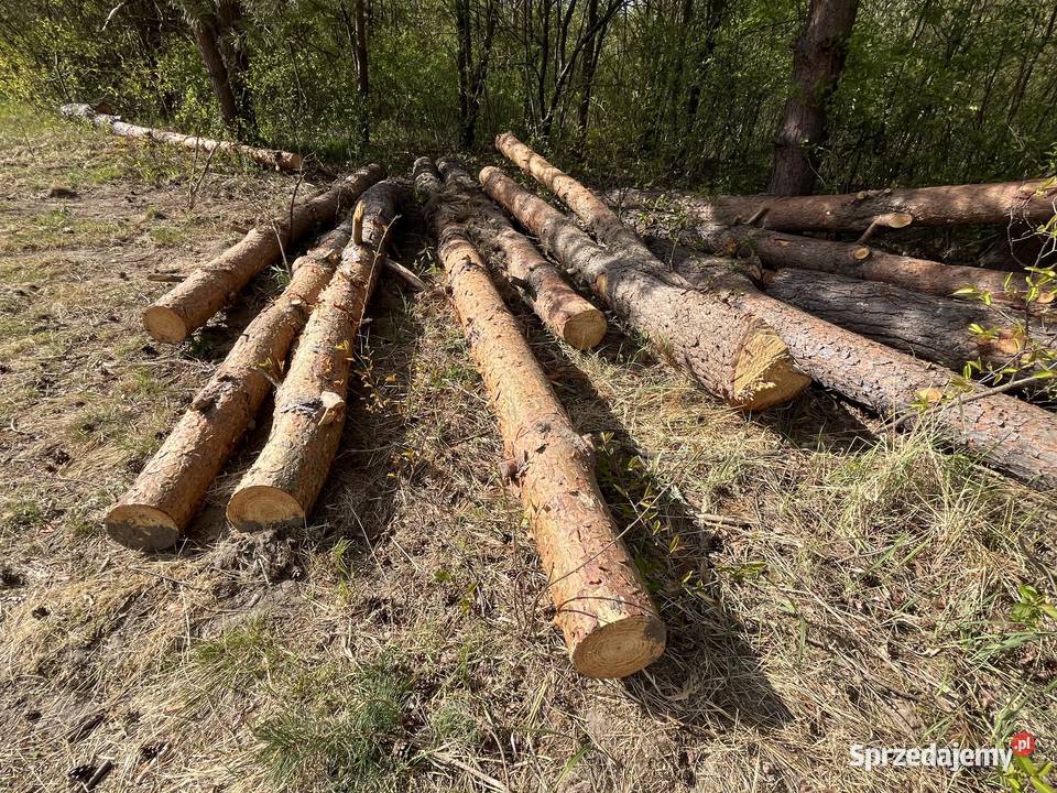 Drewno opałowe sosnowe kłody lubelskie Biłgoraj