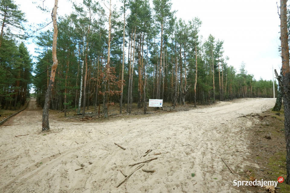 Działki pod przyszłe inwestycje Warszawa Wesoła leśna
