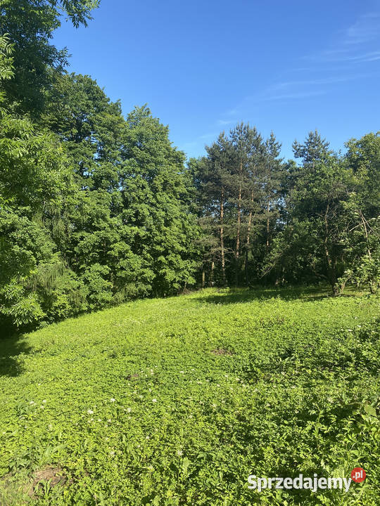 Działka budowlana z prywatnym lasem 18 arów Rybna