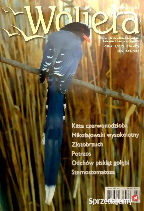 440 Woliera Miesięcznik Ornitologiczny P 3 Książki i Podręczniki Warka