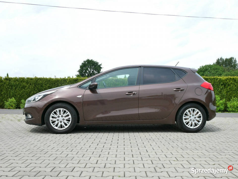 Kia Ceed 14 DOHC 100 Eu5 1 Właściciel 9 lat Goczałkowice-Zdrój