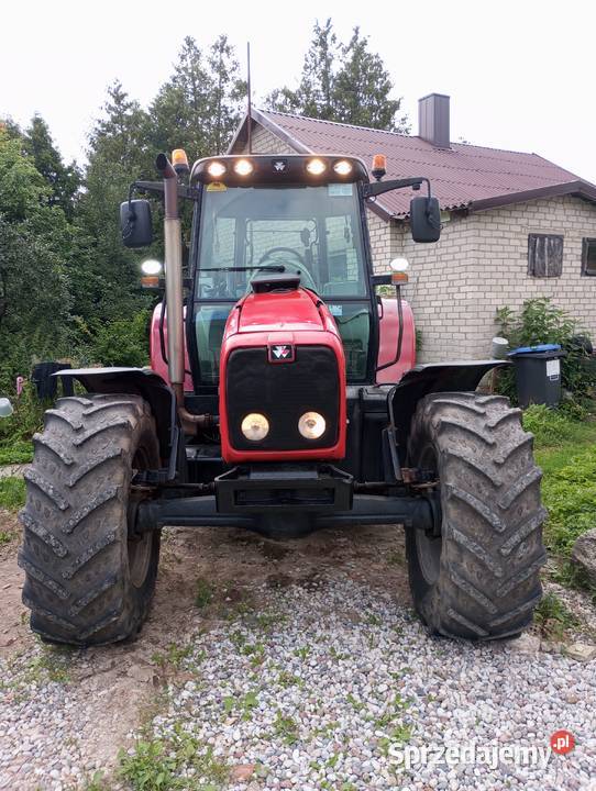 Eksportowa wersija Massey Ferguson 6480 Suwałki