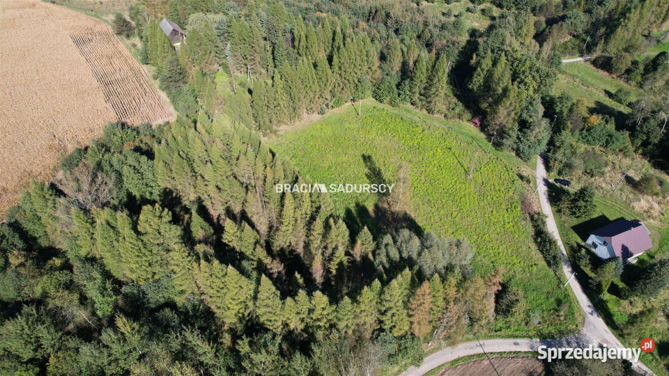 Grunt Poręba Żegoty 8900m2 małopolskie