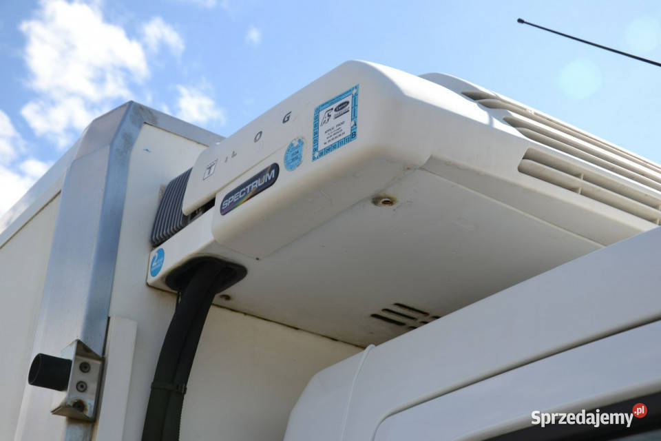 Renault Master 23 DCI 145 model 2019r Kęty