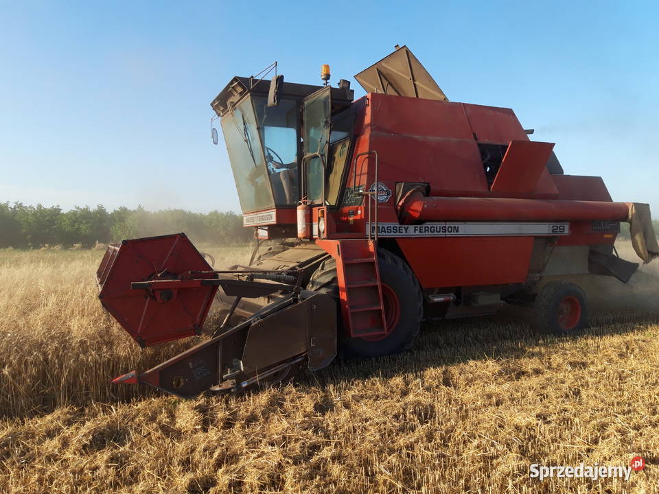 MF 29 Dronningborg 7500 Szczebrzeszyn