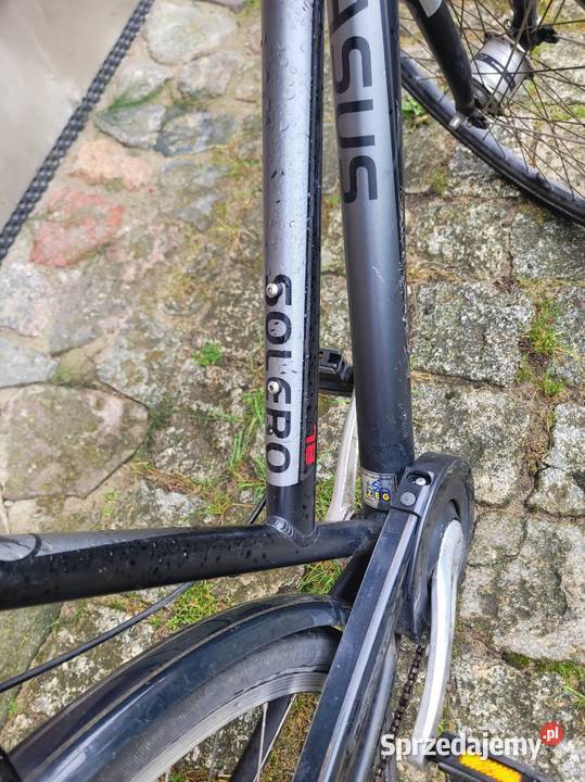 Pegasus solero zachodniopomorskie Wałcz