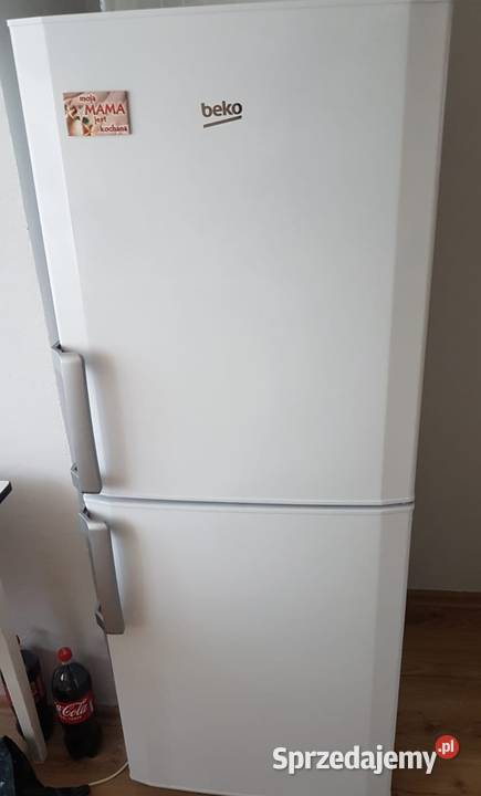 BEKO Lodówko zamrazalka Dom i Ogród