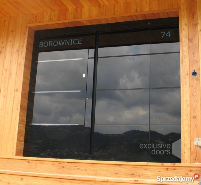 Drzwi aluminiowe panelowe szklany front drzwi małopolskie Piwniczna-Zdrój sprzedam