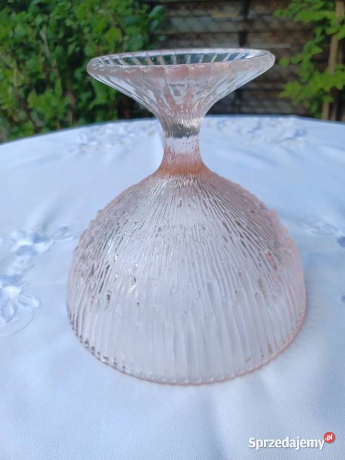 Owocarka Meduzą rozalinowa wielkopolskie Poznań