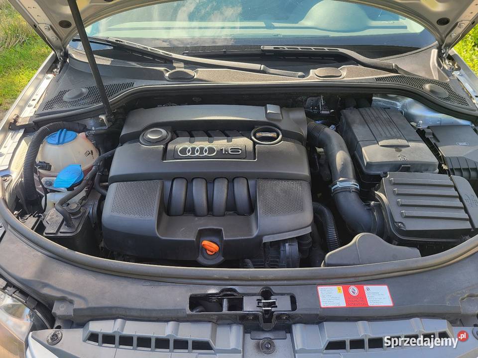 Audi A3 Klima 5d 16mpi Super stan 2007r manualna Gostynin