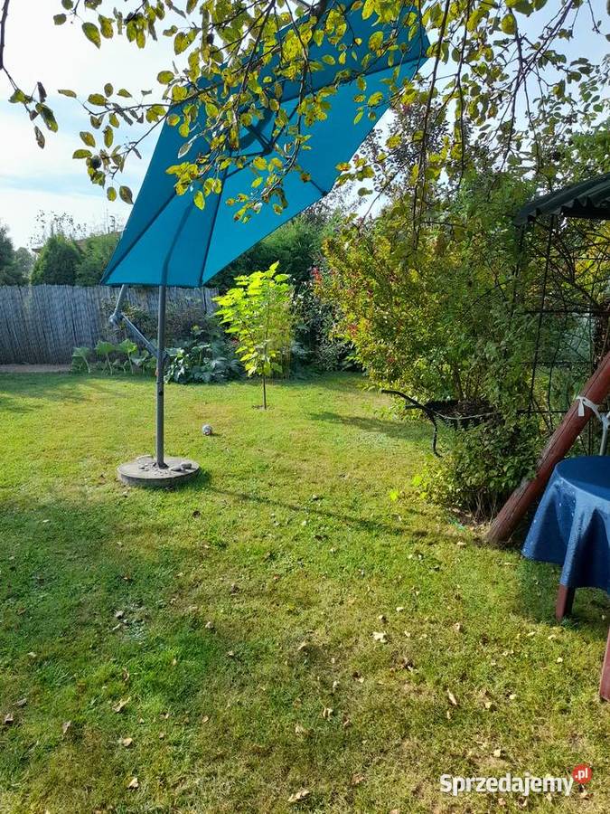 Działka ROD 300 m2 Ostrowiec Świętokrzyski