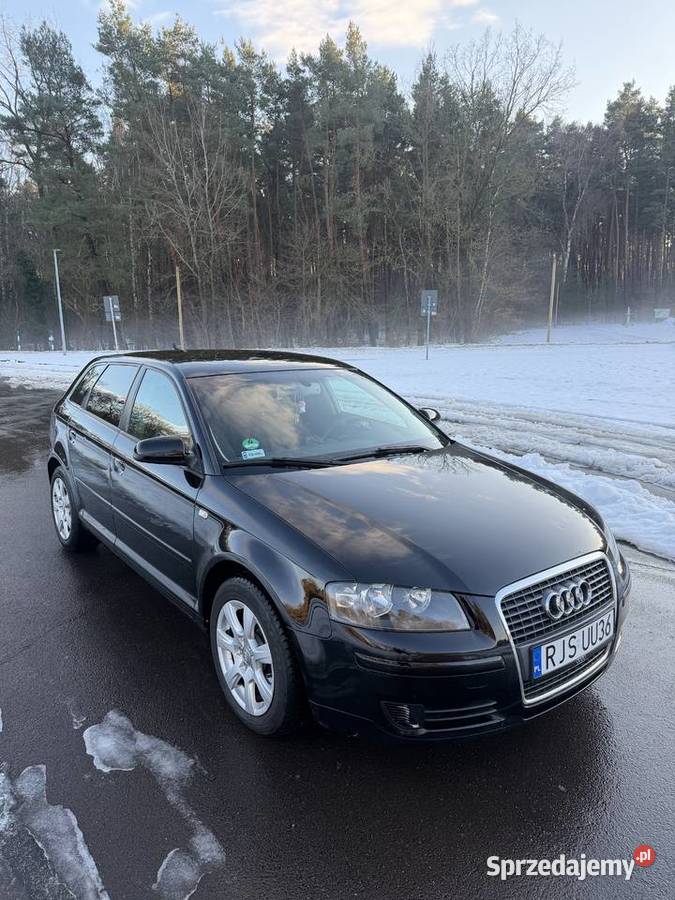 Audi A3 8P 19 TDI 105 2007r Jasło