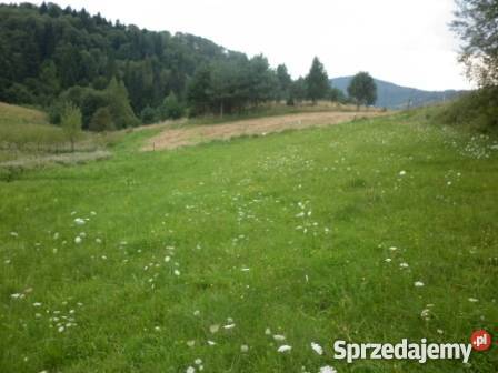 Sprzedam działkę w górach Milik sprzedam