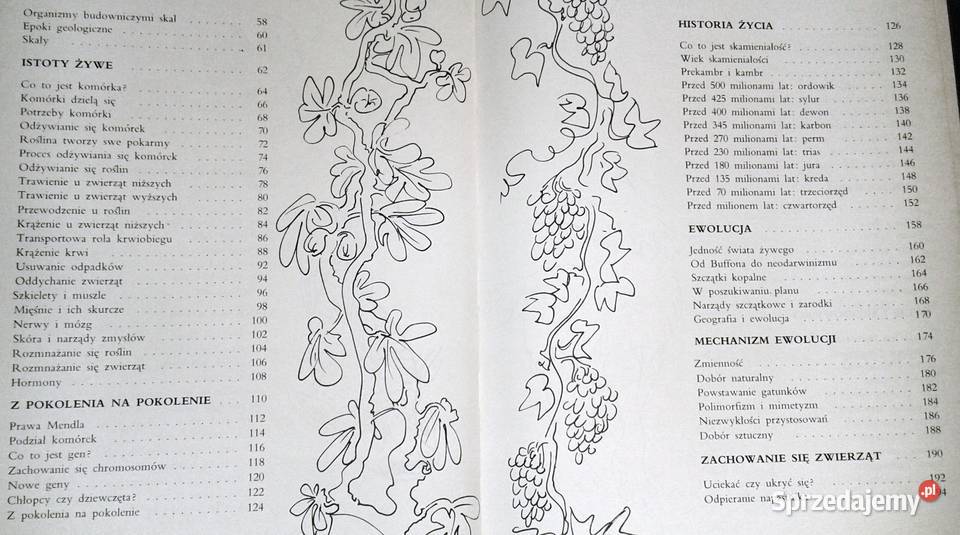 Ziemia rośliny zwierzęta praca zbiorowa Larousse Chełm sprzedam