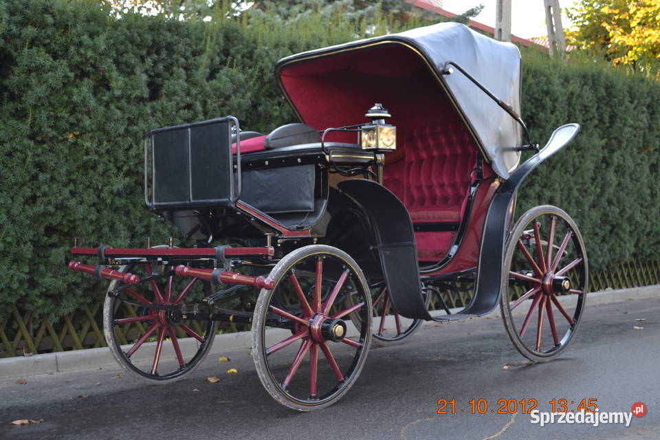 Powoz konny zabytkowy Victora kooperacja Góra Puławska