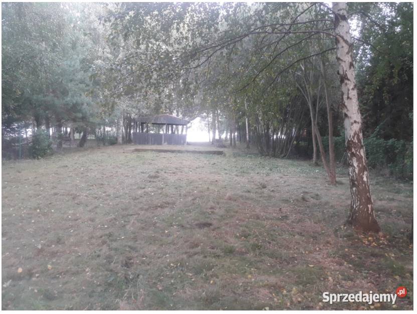 działka jeziorem Gopło wielkopolskie Łuszczewo