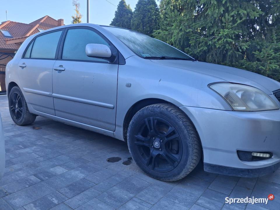 Toyota corolla Toyota Ostrołęka