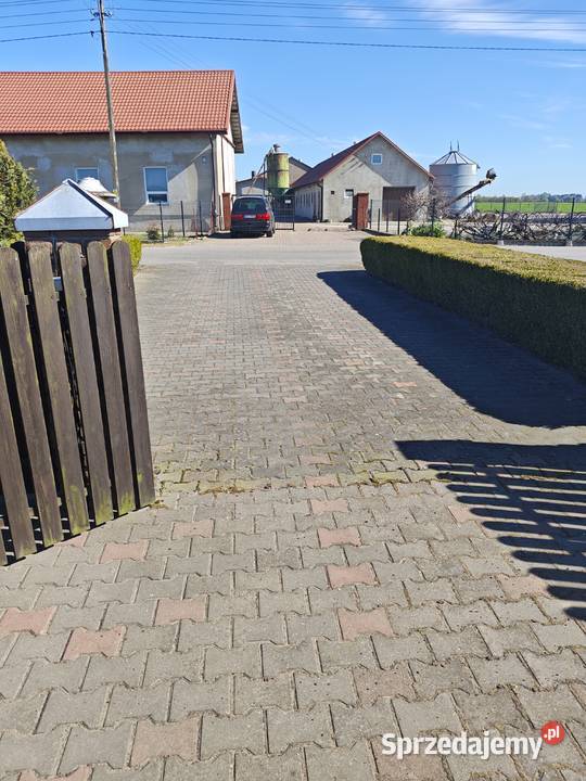 Kostka nowa Mycie impregnacja Gwarancja efektu Grodzisk Mazowiecki