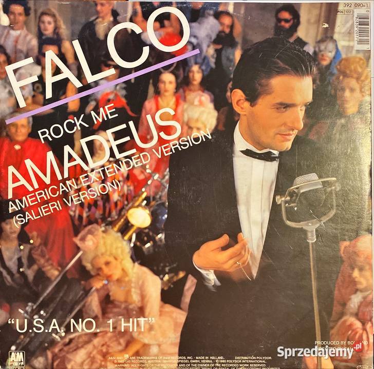 Plyt winylowych Pop 80s Rock Disco Skierniewice