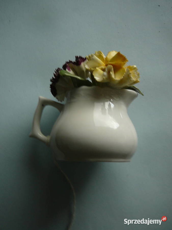kwiatki w wazoniku ceramika logowana Anglia inny kolor Wrocław sprzedam