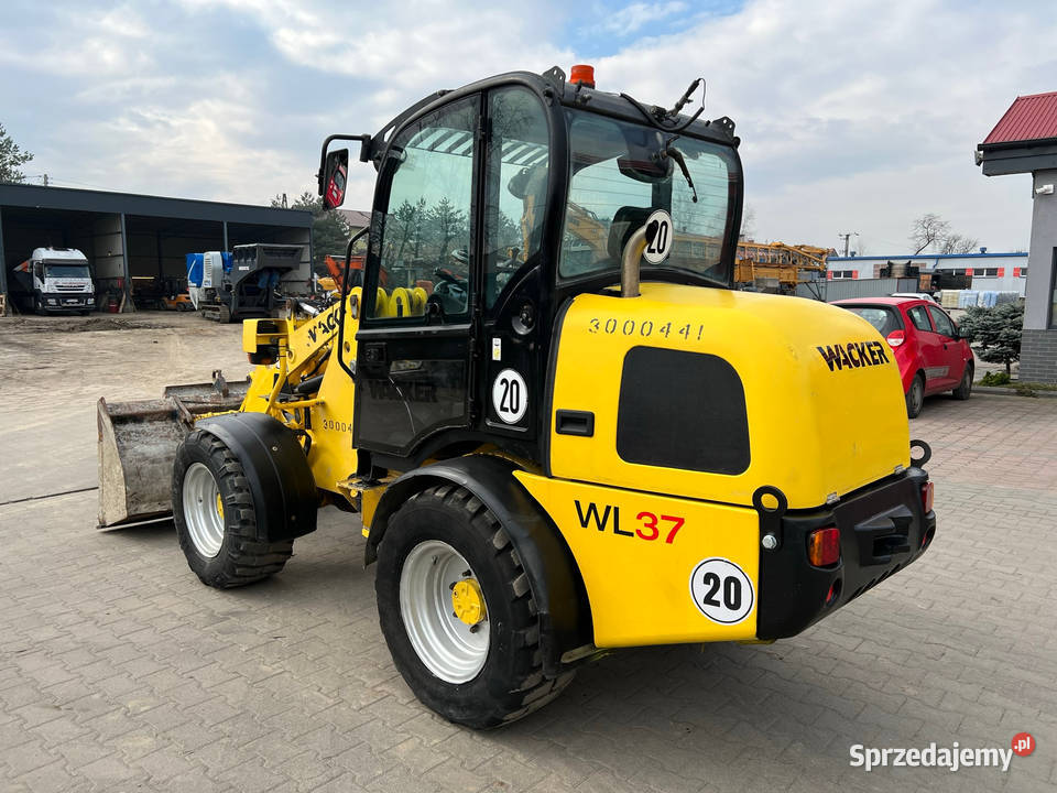 Ładowarka kołowa Wacker Neuson WL 37 Zator