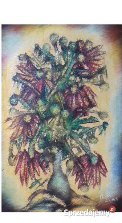 Niebieskie Georginie Jarosław