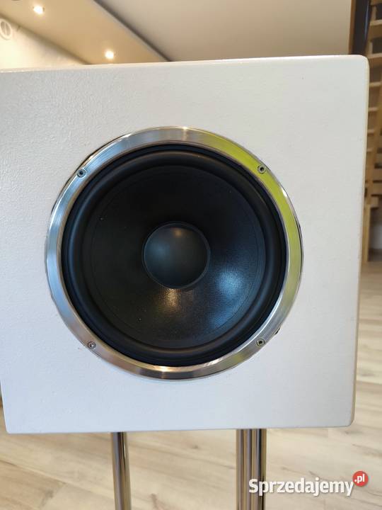 Kolumny głośnikowe diy Truskolasy