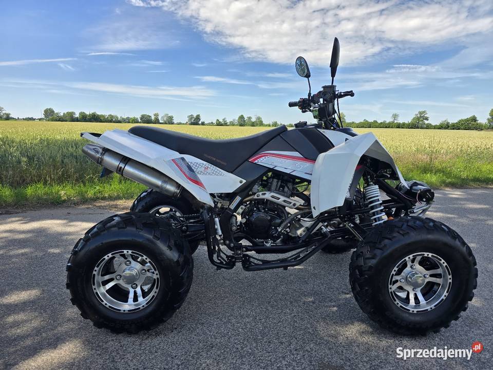 Quad Egl Mad 250cc kat B 2014r ciecz duża rama Kruszwica