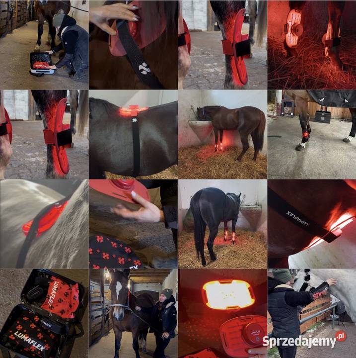 Lumaflex Essential DUO Horse Human Zestaw 3