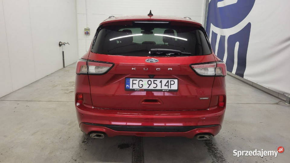 Ford Kuga 25 FHEV FWD STLine X III 2019 Grójec sprzedam