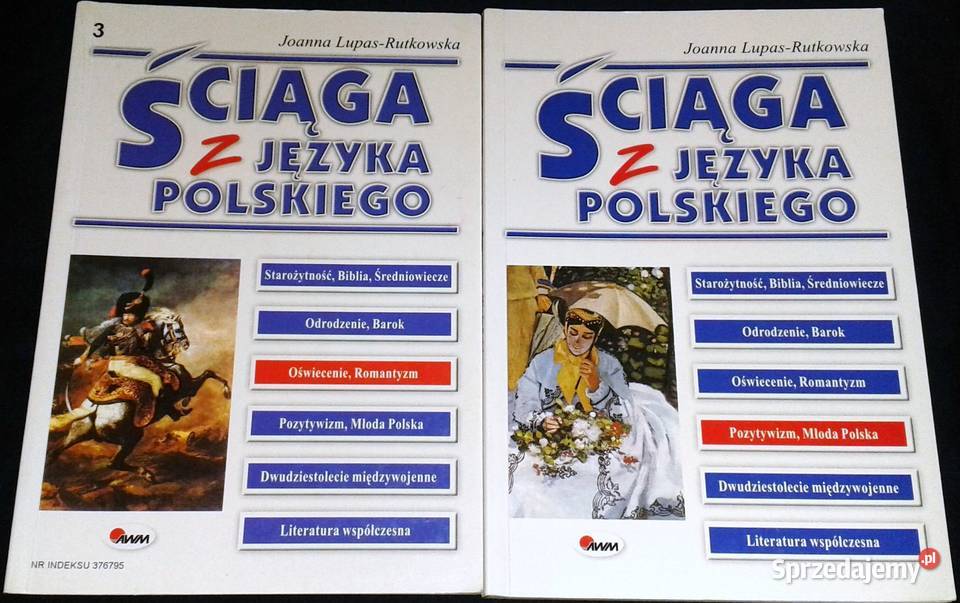 Ściąga z języka polskiego 6 części Joanna Rok wydania 2002 Chełm