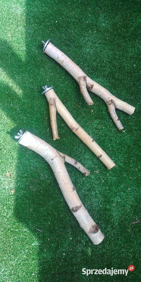 Żerdzie brzozowe z mocowaniami papug Ruda Śląska