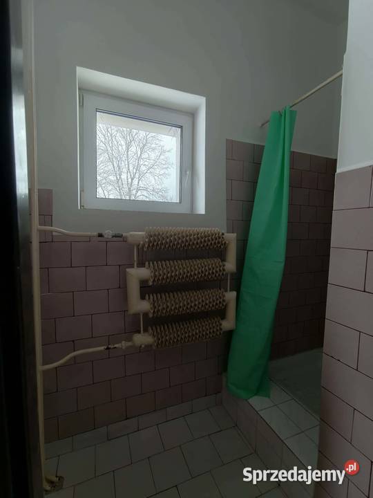 lokal do wynajęcia Wynajem podlaskie Czarna Białostocka