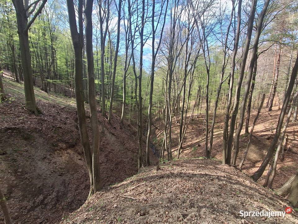 Lipnica dolna Działka rolnoleśna