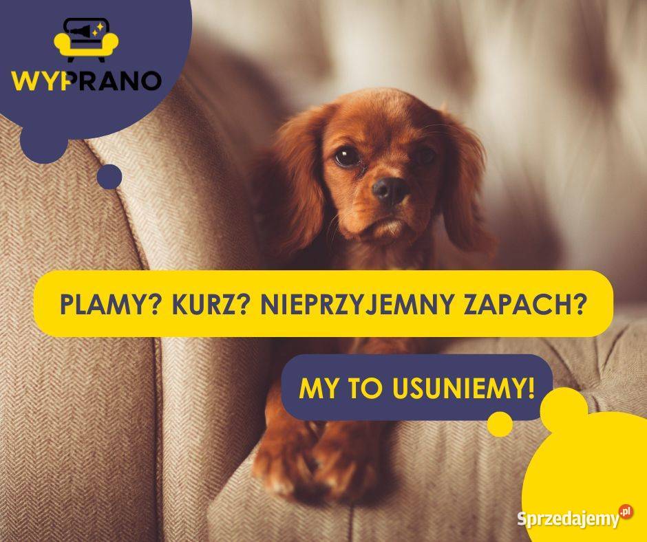 Profesjonalne pranie materacy mebli i dywanów Warszawa