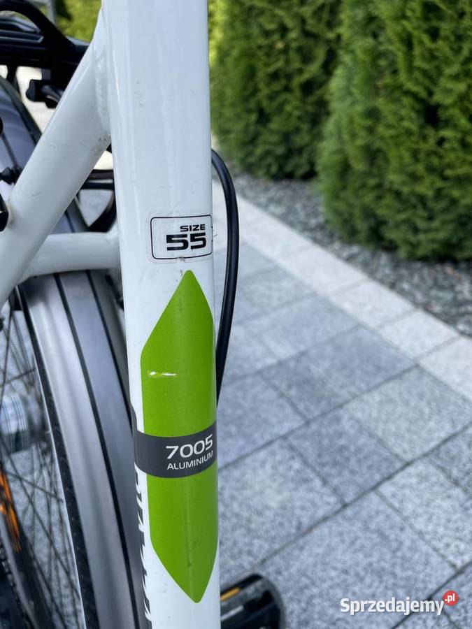 Pegasus Piazza Rower Damski 28 Miejski Inowrocław