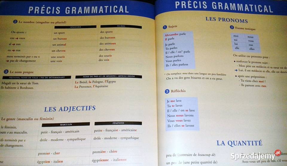 Bravo 12 Język Francuski C Bergeron R Merieux Pozostałe Chełm