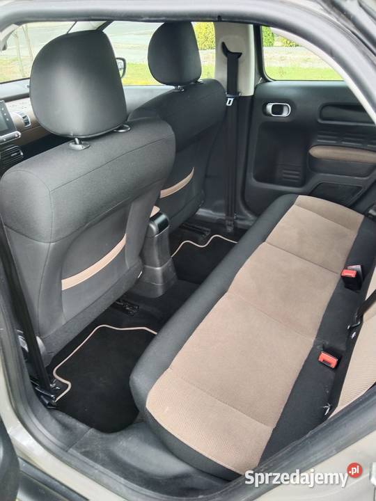 Citroen C4 cactus garażowany