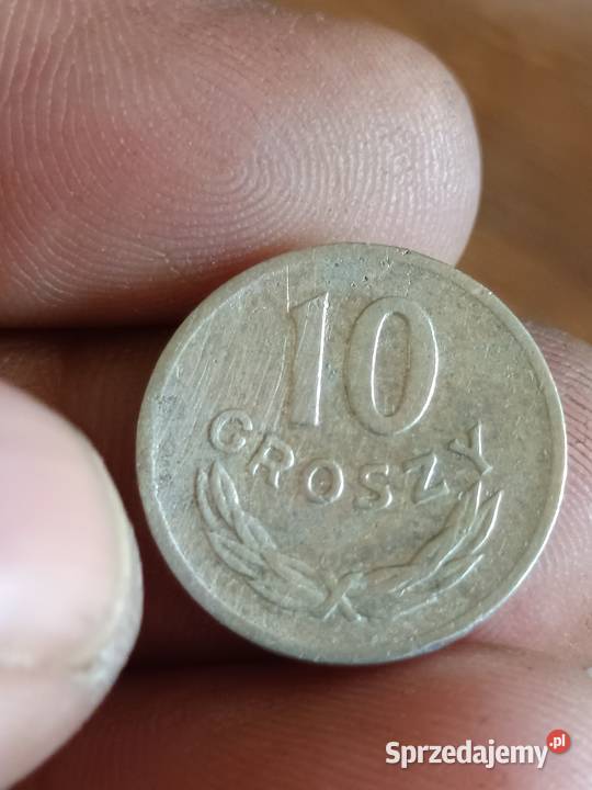 sprzedam monete 10 groszy 1963 r uiki Chełm sprzedam
