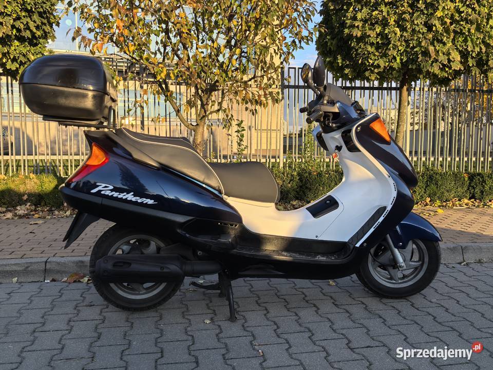 Honda Pantheon 125 2t 2002 Doinwestowany 20 Poznań