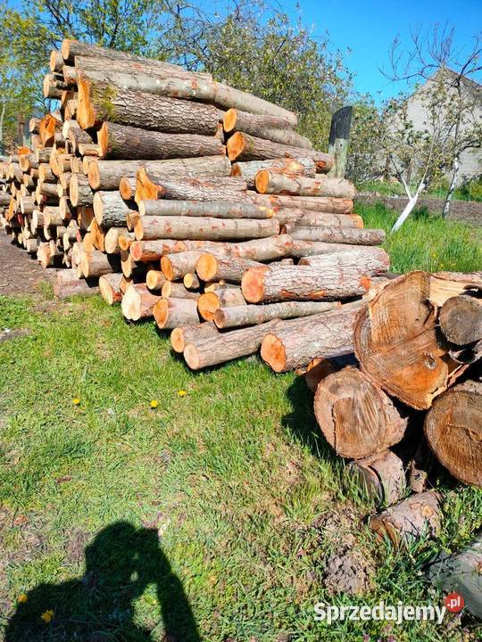 Drewno kominkowe I opalowe Buk Dąb Drawsko Pomorskie