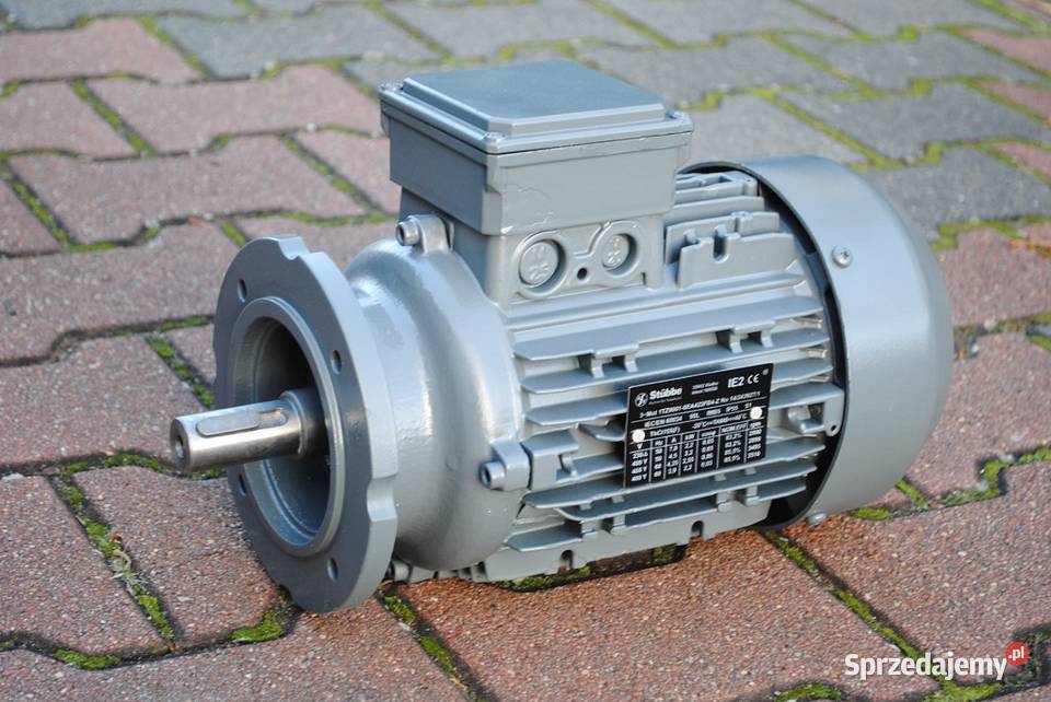 Silnik elektryczny kołnierzowy 22kw 2890obrmin lubuskie Kargowa