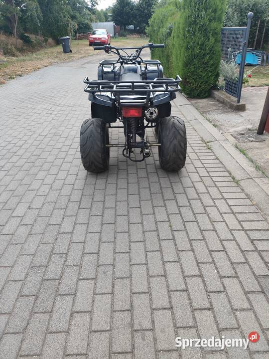 Bashan Hummer 250 xxl Polkowice