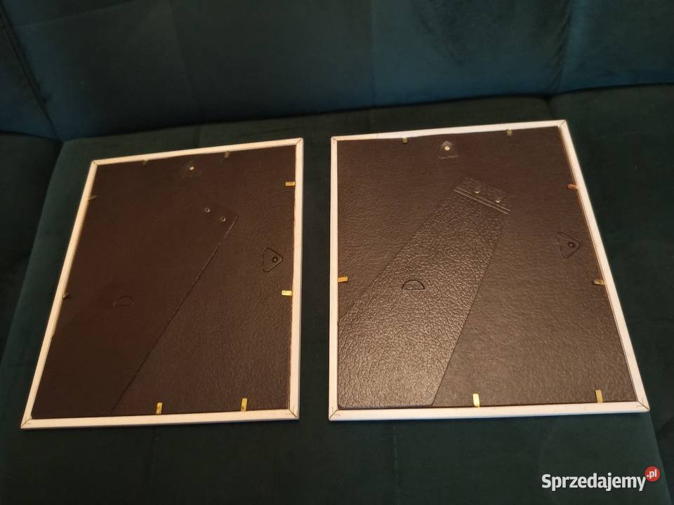 Stylowe 2 obrazki botaniczne przedstawiające Warszawa