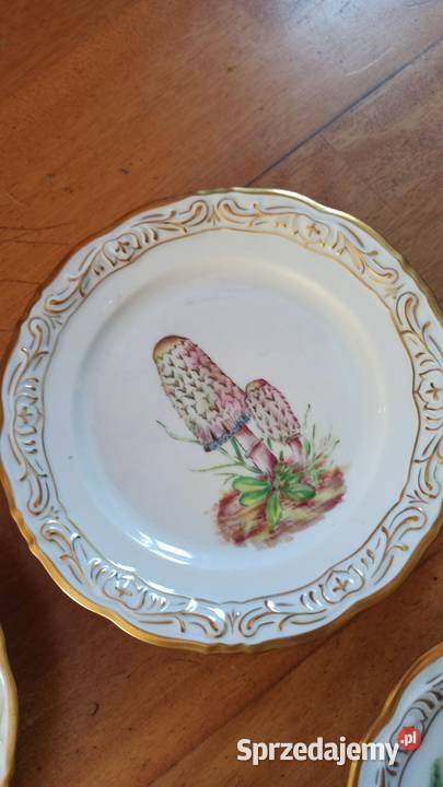 Przepiękne ręcznie malowane owoce Biała Gdańsk