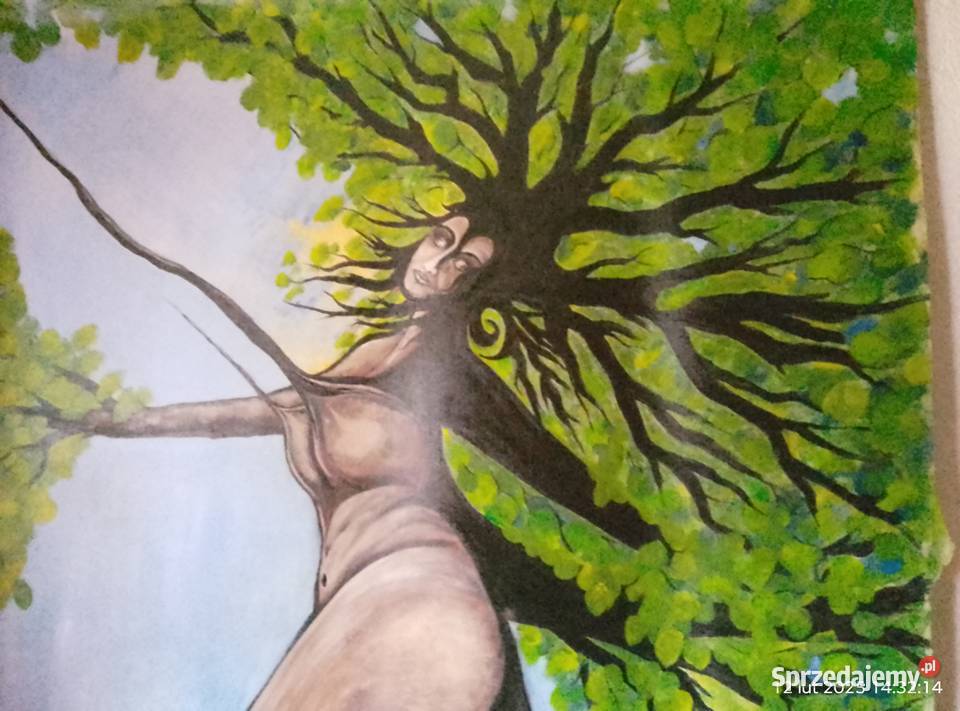 Driada 96 x 146 lubuskie