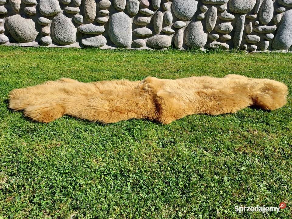Skóra Owcza Dywan Narzuta Kolor CAMEL Skóra Skóry małopolskie Szaflary sprzedam